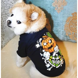 HALLOWEEN Tee-shirt de sorcier Taille XS