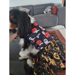 HALLOWEEN Robe de sorcière Taille L