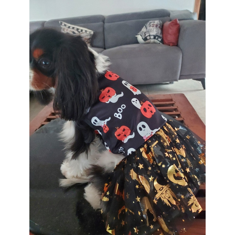 HALLOWEEN Robe de sorcière Taille L