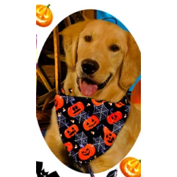 HALLOWEEN Bandana Taille S