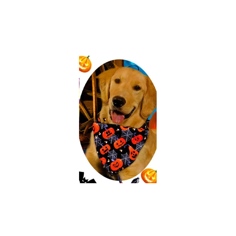 HALLOWEEN Bandana Taille S