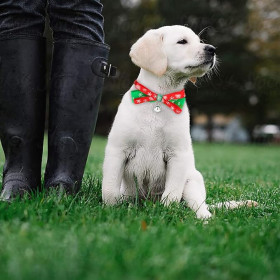 COLLIER DE NOEL POUR CHIEN...