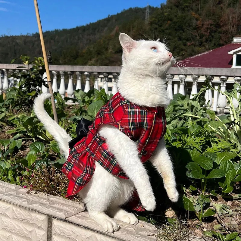 ROBE DE NOEL ÉCOSSAISE Taille S