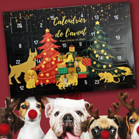 CALENDRIER DE L'AVENT DE...