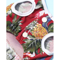 ROBE D'ETE ANANAS ROUGE Taille L