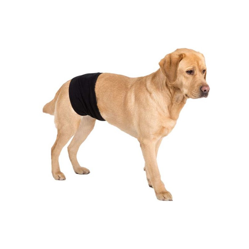 COUCHE LAVABLE POUR CHIEN MÂLE - Noir - Taille XS