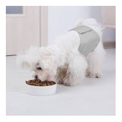 COUCHE LAVABLE POUR CHIEN MÂLE - Gris- Taille XS