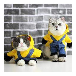 DÉGUISEMENT MINION POUR CHIEN ET CHAT Taille S