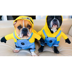 DÉGUISEMENT MINION POUR CHIEN ET CHAT Taille S