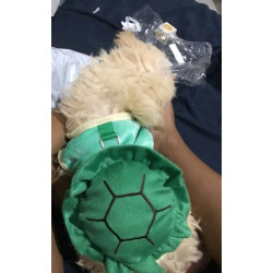 DÉGUISEMENT TORTUE POUR CHIEN ET CHAT Taille S