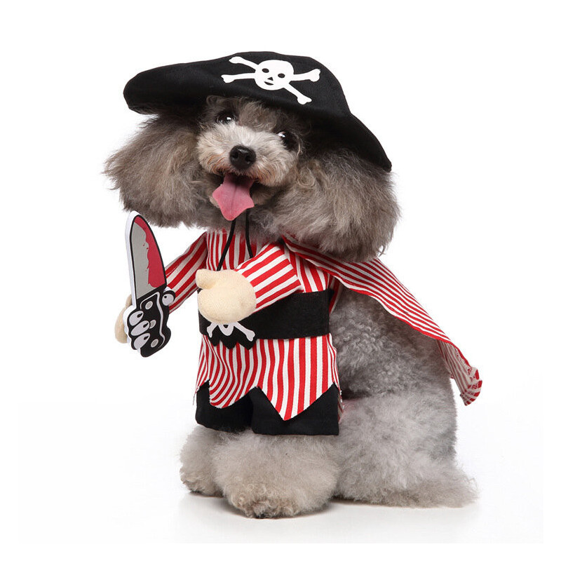 DÉGUISEMENT PIRATE POUR CHIEN ET CHAT Taille S