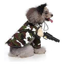 DÉGUISEMENT MILITAIRE POUR CHIEN ET CHAT Taille M