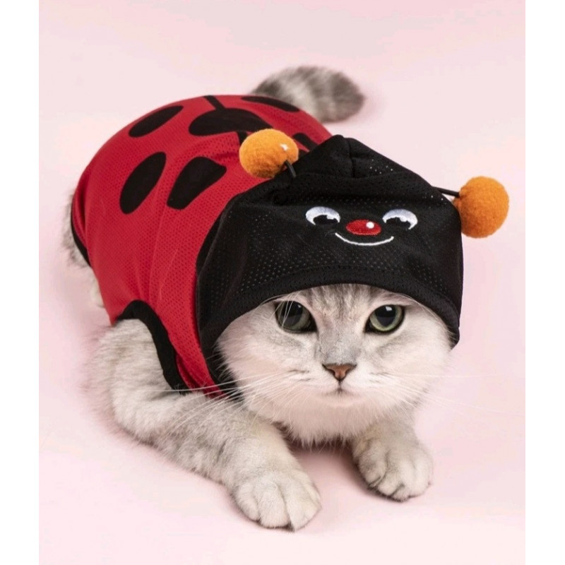 DÉGUISEMENT COCCINELLE POUR CHIEN ET CHAT Taille M