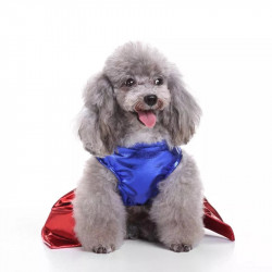 DÉGUISEMENT SUPER GIRL POUR CHIEN ET CHAT Taille M