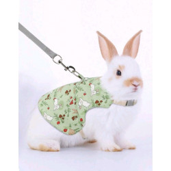 ROBE HARNAIS AVEC LAISSE VERT POUR LAPIN Taille M