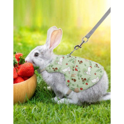 ROBE HARNAIS AVEC LAISSE VERT POUR LAPIN Taille M