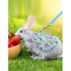 ROBE HARNAIS BLEU AVEC LAISSE POUR LAPIN  Taille M