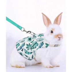 ROBE HARNAIS FEUILLES AVEC LAISSE  POUR LAPIN Taille M