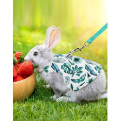 ROBE HARNAIS FEUILLES AVEC LAISSE  POUR LAPIN Taille M