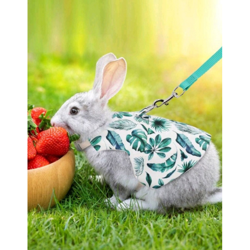 ROBE HARNAIS FEUILLES AVEC LAISSE  POUR LAPIN Taille M