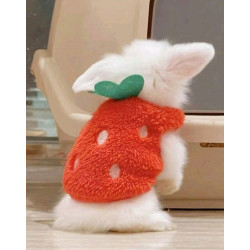 PULL ROUGE FRAISE POUR LAPIN Taille S