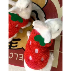 PULL ROUGE FRAISE POUR LAPIN Taille S