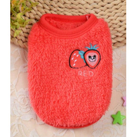 PULL RED FRAISE POUR LAPIN...