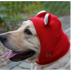 BONNET ROUGE MIGNON POUR MOYEN ET GRAND CHIEN