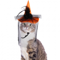 HALLOWEEN Chapeau de sorcière