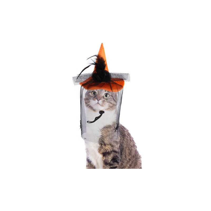 HALLOWEEN Chapeau de sorcière