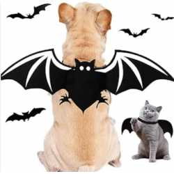 HALLOWEEN Harnais ailes de chauve souris Taille Unique