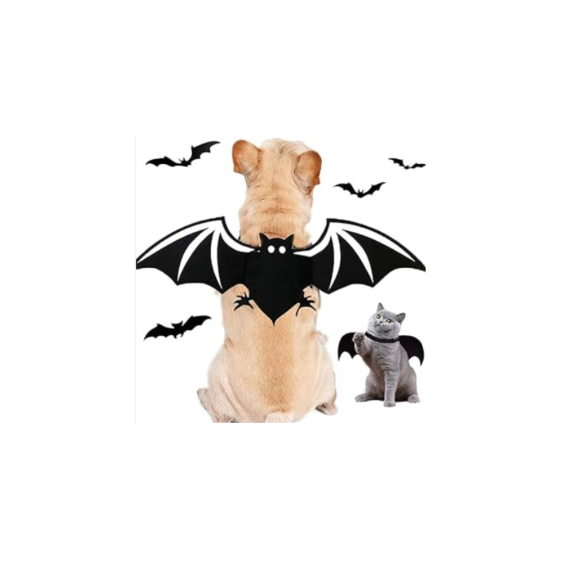 HALLOWEEN Harnais ailes de chauve souris Taille Unique