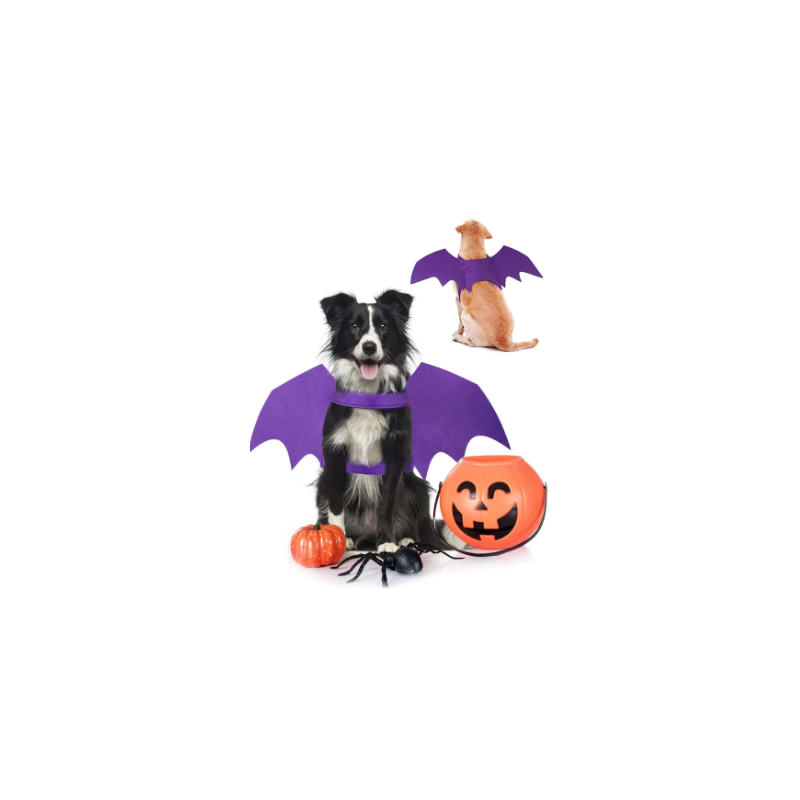 HALLOWEEN Harnais aile de chauve-souris Taille S