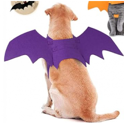 HALLOWEEN Harnais aile de chauve-souris Taille S