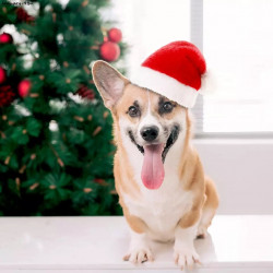 BONNET DE NOEL Taille unique